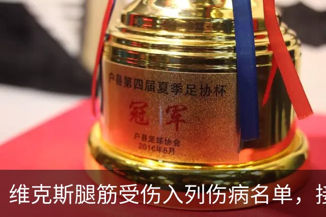 维克斯腿筋受伤入列伤病名单，接连三场比赛获高频目标